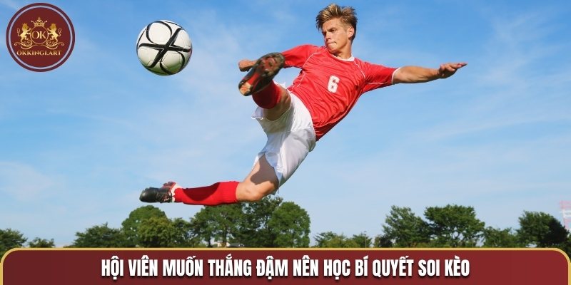 Hội viên muốn thắng đậm nên học bí quyết soi kèo