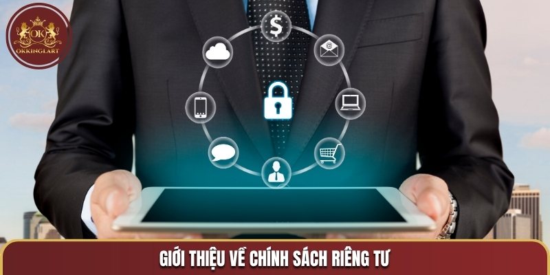 Giới thiệu chi tiết chính sách riêng tư